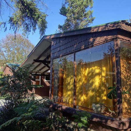 Silvestre Cabanas Puerto Varas Extérieur photo